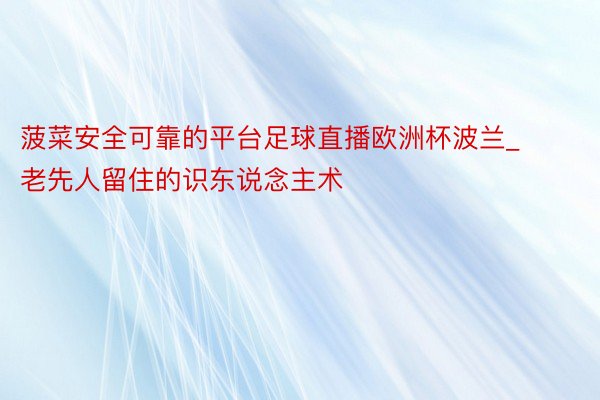 菠菜安全可靠的平台足球直播欧洲杯波兰_老先人留住的识东说念主术